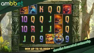 เล่นเกมสล็อต คัดสรรมาอย่างดี ยอดนิยมมากที่สุด